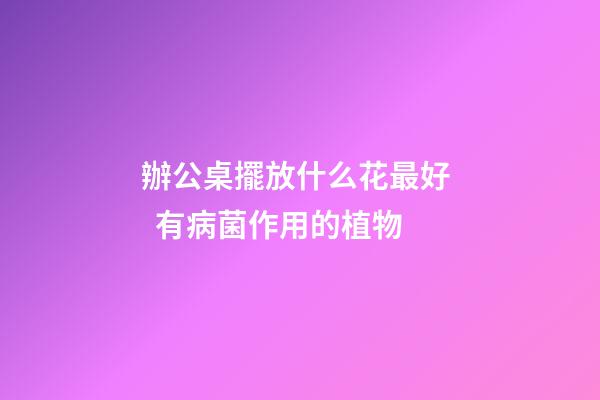 辦公桌擺放什么花最好   有病菌作用的植物